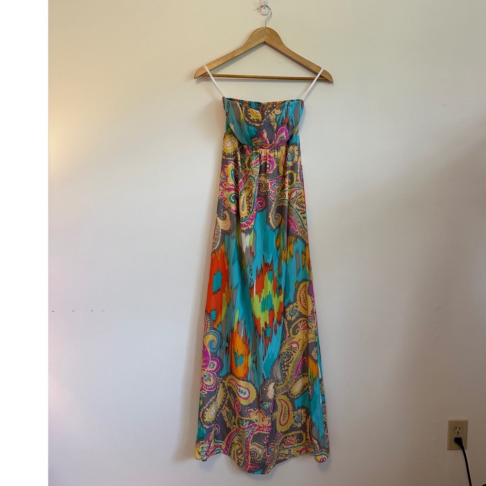 Alice and Trixie Fontaine Print Silk Maxi Dress | Size XS